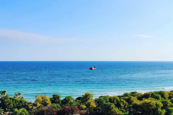 Потрясающий Кипр - природа и инвестиции